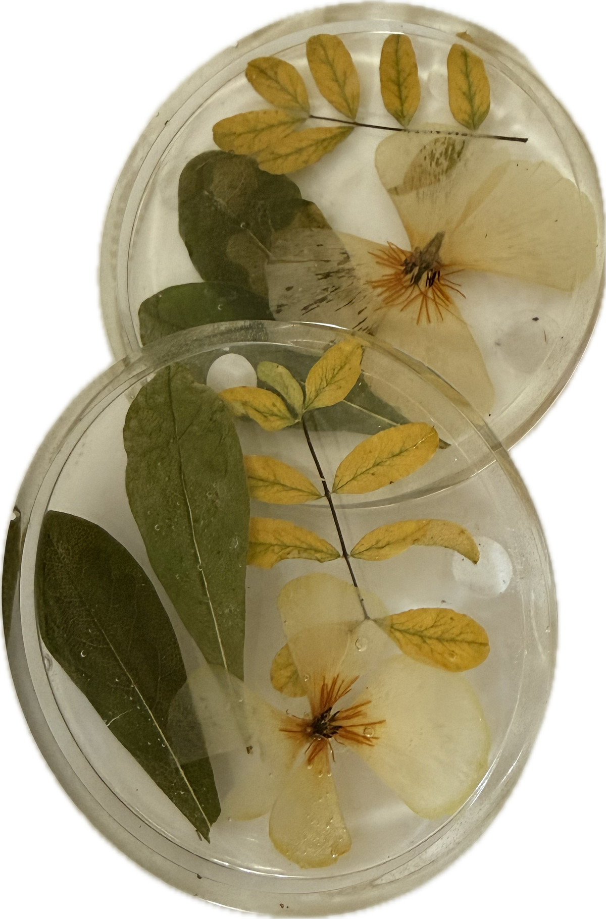 Handmade Floral Resin Coasters-Real Pressed Flowers and Mica Accents-Botanical Home Décor Canada
